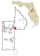 Lake County Florida Incorporated and Unincorporated areas Mount Dora Highlighted