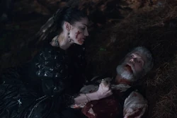 Mary killing Increase