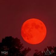 The final sacrifice image.jpg (12 KB) Full Hunter's Moon