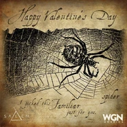 Valentinefamiliarspider.jpg (212 KB)