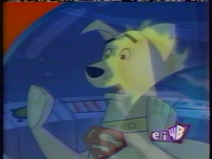 はwow☆　チャーリーブラウン　ライト　WESTLAND 早い者勝ち！ はwow☆様専用 チャーリーブラウン ライト WESTLAND 早い者勝ち