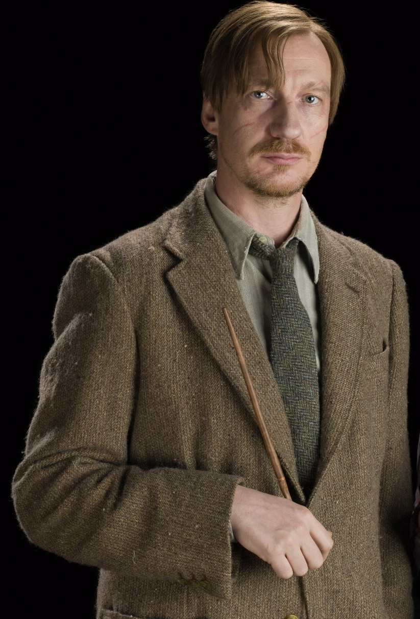 Remus lupin. Римус Люпин. Дэвид Тьюлис Римус Люпин. Профессор Люпин оборотень.