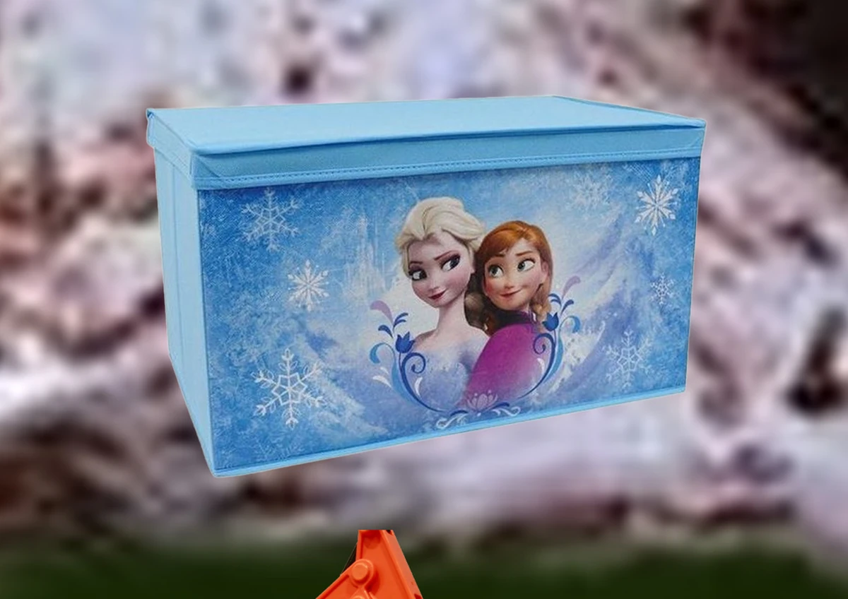 Frozen Box The Scary Shattered Verse Wiki Fandom