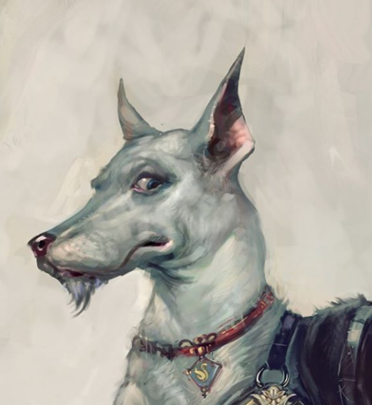 Pollux dog outlet