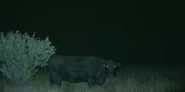 Season 6 | The Secret of Skinwalker Ranch Wiki | Fandom