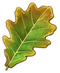 Oak Leaf