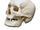 C039 Ghost town i02 Skull.png