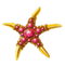 Precious Starfish