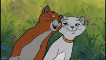 Duchess-Thomas-(The Aristocats)