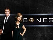 Bones