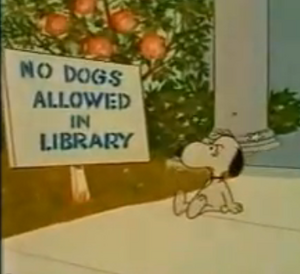 No Dogs Allowed