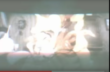 The right side.png