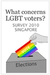 WhatConcernsLGBTVoters2010