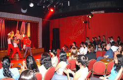 The capacity crowd at a performance.