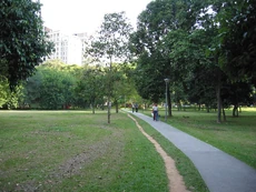 The unnamed park next to the Bugis MRT station where the half of Johore Road south-west of Ophir Road used to be.