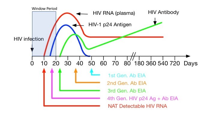 Антитела к human immunodeficiency virus 1 2. ИФА 4 поколения на ВИЧ. ВИЧ ИФА 4 поколения сроки. Тест на ВИЧ 4 поколения. Анализ ИФА 4 поколения на ВИЧ.