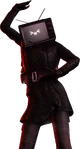 1.1 appearance