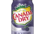 Canada Dry Blackberry Ginger Ale