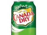 List of Canada Dry Flavors