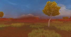 Wallaru Outback 10.6 NewsImage