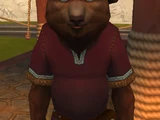 Bjorn Bjornstein