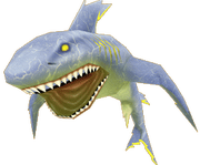 Shark