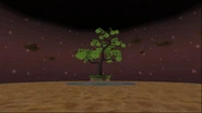 A tree in the Spirit World.