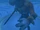 Arion
