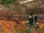 Firecat Alley