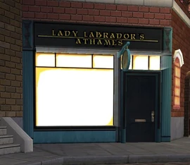 Lady Labrador's Athames