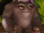 T'Karo