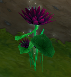 Black Lotus