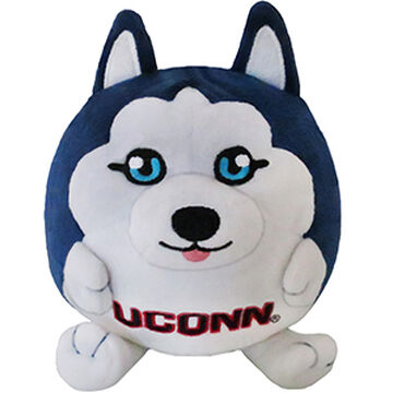 University of Connecticut Husky The Squishable Wiki Fandom