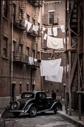 Back alley promo photo