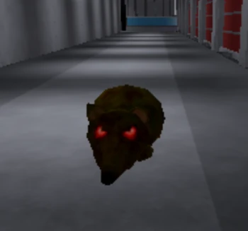 Rats | The Storage Roblox Wiki | Fandom