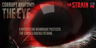 Corrupt-Anatomy-The-Eye-the-strain-fx-38643281-1024-512.jpg