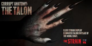 Corrupt-Anatomy-The-Talon-the-strain-fx-38643278-1024-512.jpg