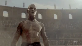 Quinlanspastasgladiator