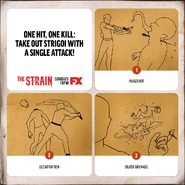 Infograph-1.jpg (135 KB)