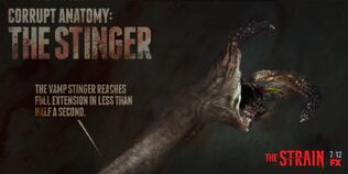 Corrupt-Anatomy-The-Stinger-the-strain-fx-38617383-1024-512.jpg