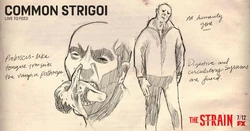 Common Strigoi/Concept Art/Season 2