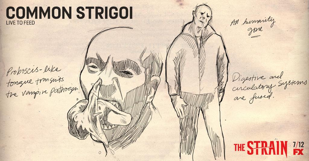 the strain vampire stinger