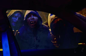 To them we’re nothing but bloodbags. If enough of us turn, there will be no one left to feed them.