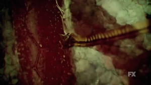 Strigoi Worm docking with a blood vessel