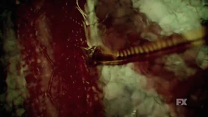 Worm deriving sustenance from blood vessel