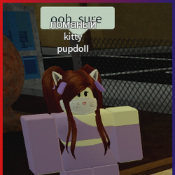 what to tell exploiters on roblox smart alec