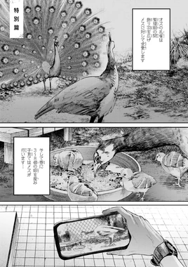 JP Chapter 11.5