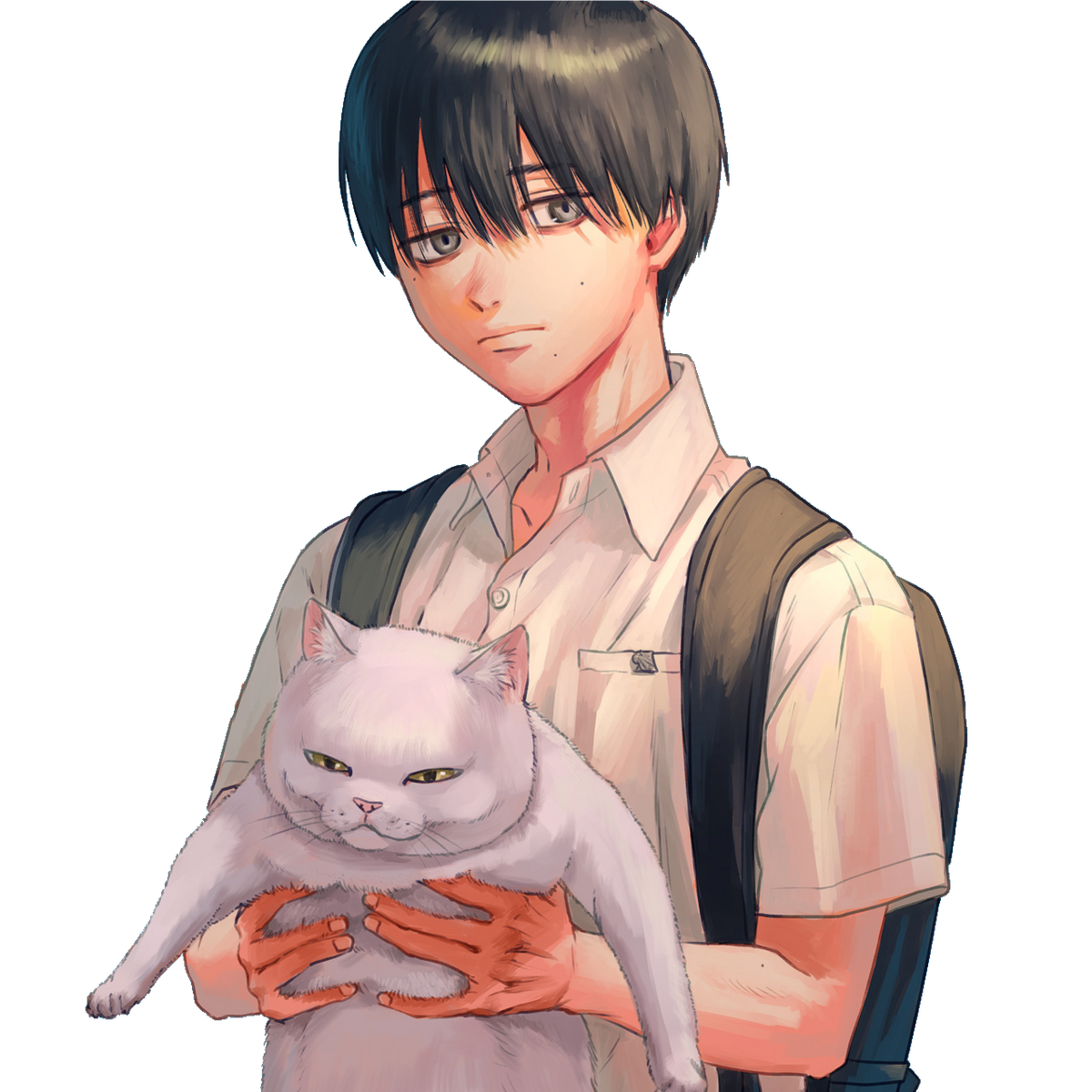 List of Characters The Summer Hikaru Died Wiki Fandom