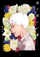 Novel (JP)
