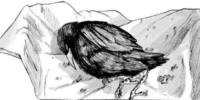 Minor Characters (627 KB) Crowly